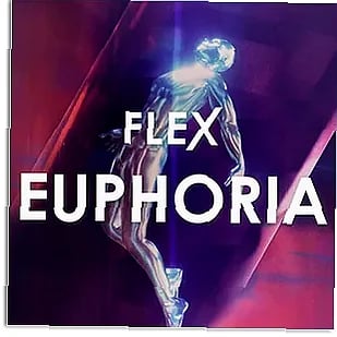 Digital audio workstation displays Euphoria preset pack with EDM sound design tools and festival-style samples