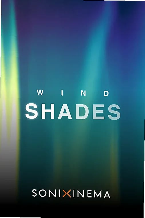 Chamber woodwind ensemble performs improvised phrases, capturing microtonal shifts and organic resonance in studio setting