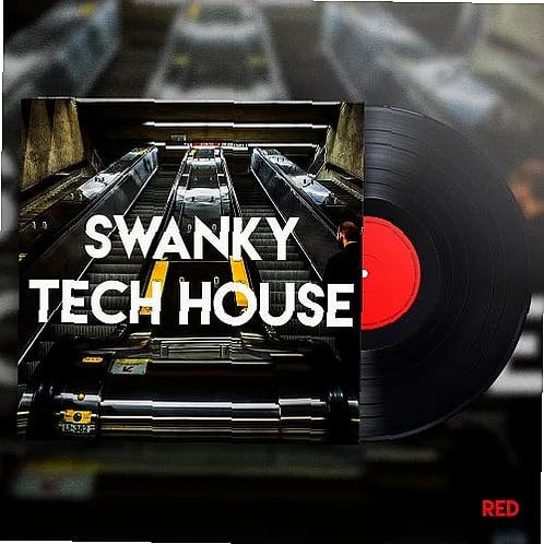 Audio waveform of analog house music loop with warm bass tones displayed in DAW grid